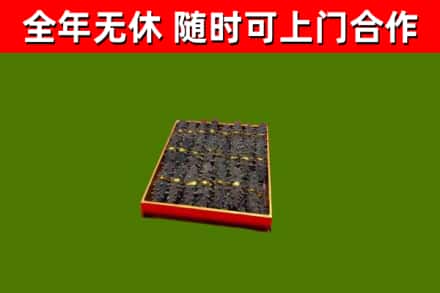 尖山区回收海参